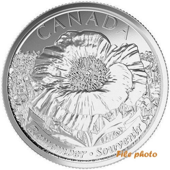 Canada 2015 'Remembrance Day Poppy' Roll of 40 x 25 Cent Coins! - Picture 5 of 8